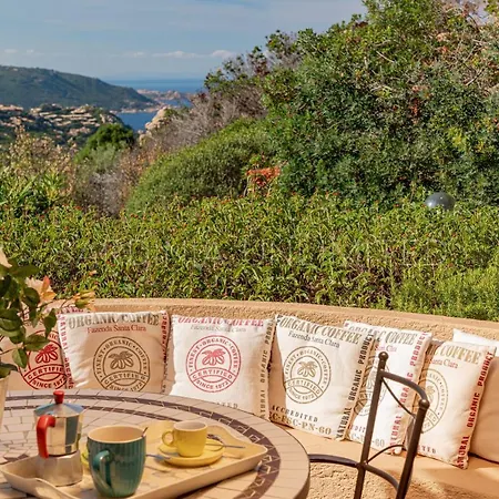 Violetta * Costa Paradiso