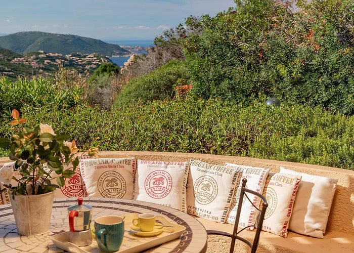 Violetta * Коста-Парадисо